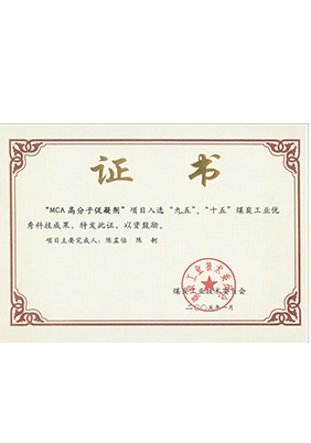 2005年1月MCA高分子促凝劑獲“九五、十五”科技成果獎(jiǎng)