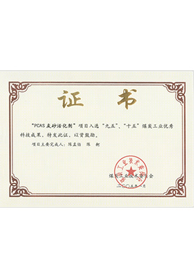 2005年1月PCAS灰砂活化劑獲“九五、十五”科技成果獎(jiǎng)